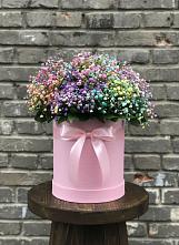 Цветочная композиция из Гипсофила и Розы в шляпной коробке в Мирном Кировской области