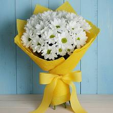 Букет цветов из:  Хризантемы в Мирном Кировской области