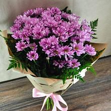 Букет цветов из:  Хризантемы #REPLACE_PRED# Мирном Кировской области