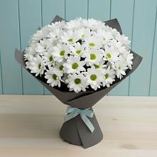 Букет цветов из:  Хризантемы в Мирном Кировской области