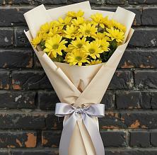 Букет цветов из:  Хризантемы в Мирном Кировской области