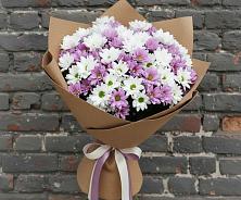 Букет цветов из:  Хризантемы в Мирном Кировской области