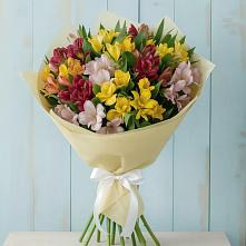 Букет цветов из:  Альстромерии #REPLACE_PRED# Мирном Кировской области