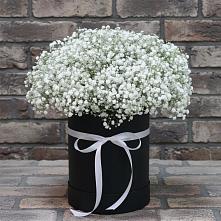 Цветочная композиция из Гипсофила в шляпной коробке в Мирном Кировской области