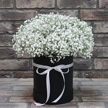 Цветочная композиция из Гипсофила в шляпной коробке в Мирном Кировской области