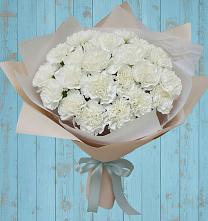 Букет цветов из:  Гвоздики в Мирном Кировской области