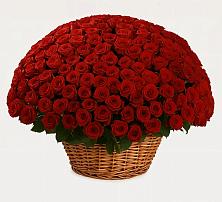 Премиум букет из: Розы #REPLACE_PRED# Мирном Кировской области