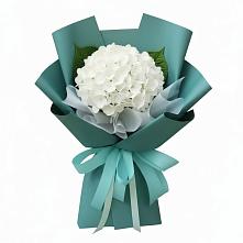 Букет цветов из:  Гортензия #REPLACE_PRED# Мирном Кировской области